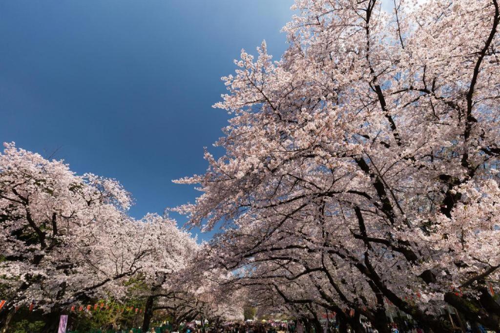 Forest Hongo Tokyo Bagian luar foto